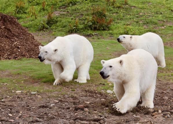Chic 2 Bed Peak District Cottage Barn Near Alton Towers, Polar Bears, Chatsworth House Лик Экстерьер фото