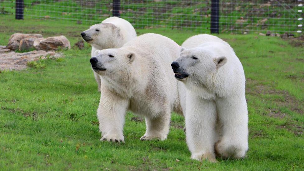 Chic 2 Bed Peak District Cottage Barn Near Alton Towers, Polar Bears, Chatsworth House Лик Экстерьер фото