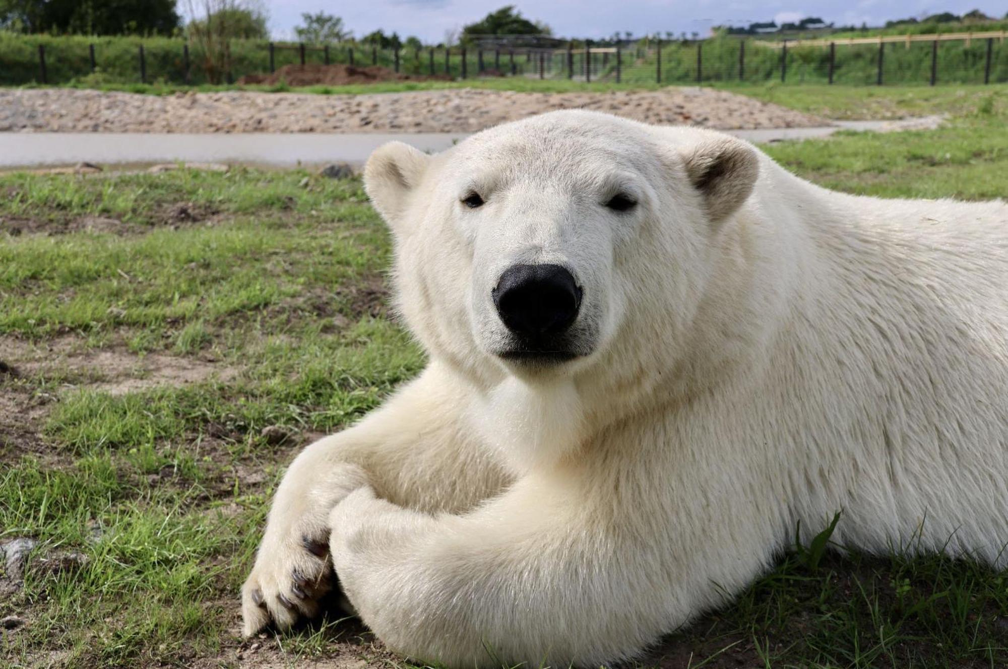 Chic 2 Bed Peak District Cottage Barn Near Alton Towers, Polar Bears, Chatsworth House Лик Экстерьер фото